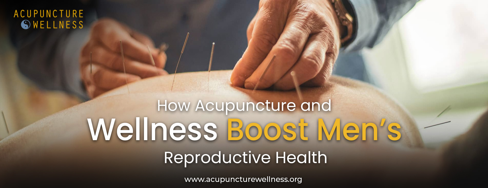 How Acupuncture Boost Men’s Reproductive Health