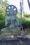 Nina Perez meditating in front of a large Buddha statue surrounded by lush greenery.