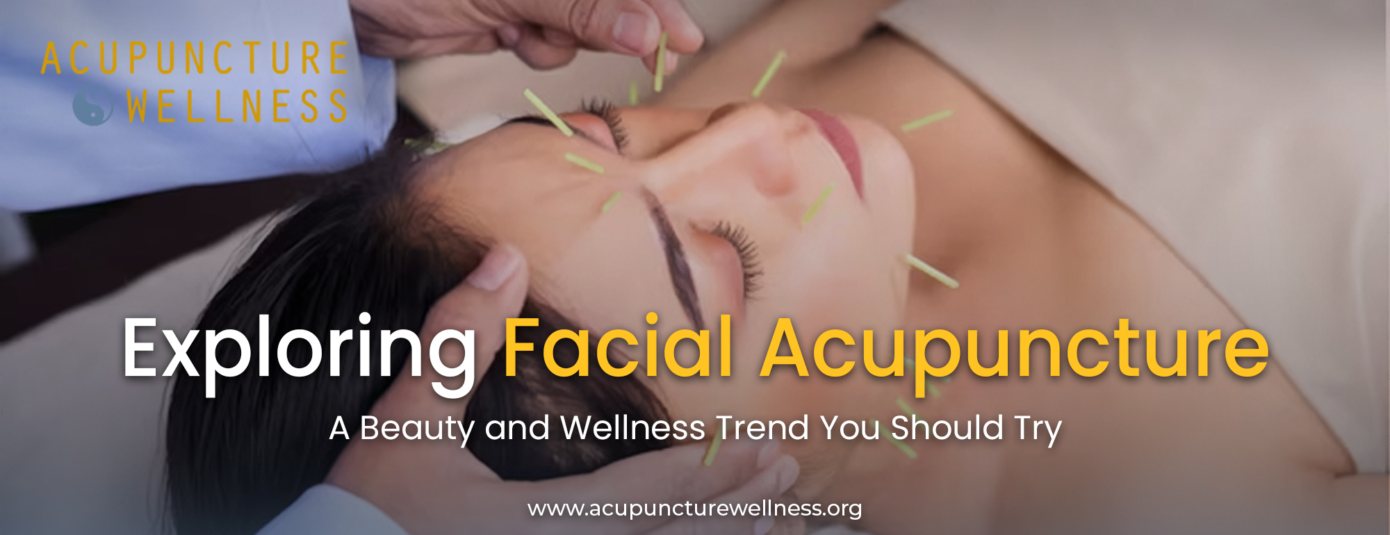 Facial Acupuncturee (1)