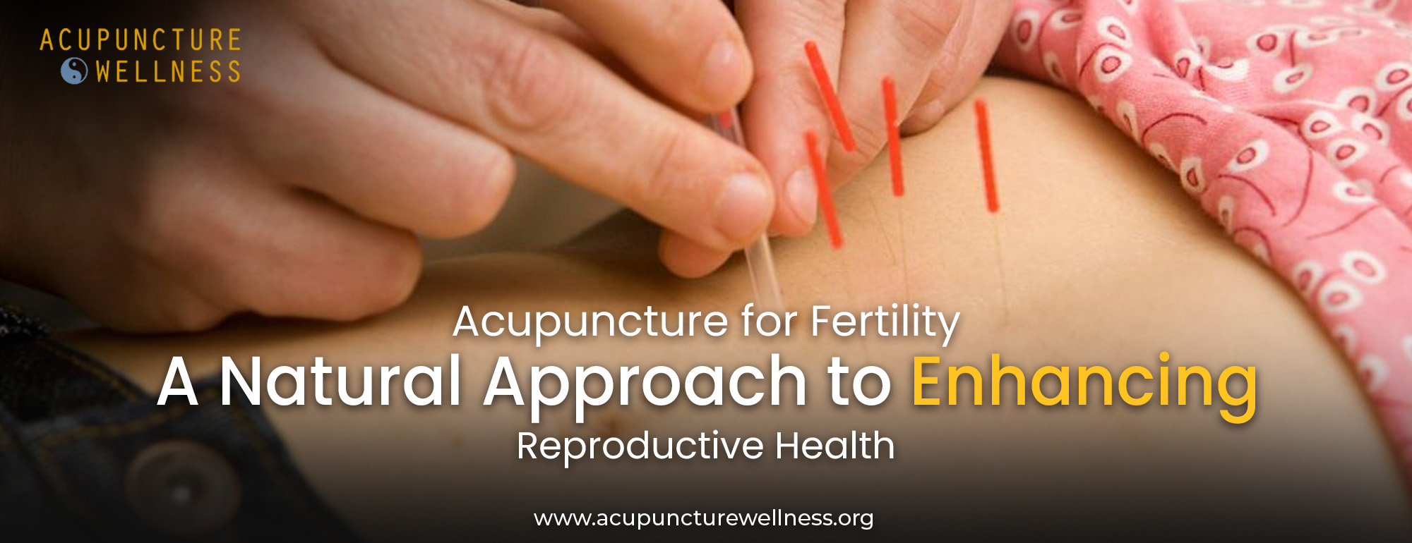 Image showcasing Acupuncture for Fertility | Natural Support for Reproductive Health